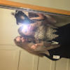 grace_keigher